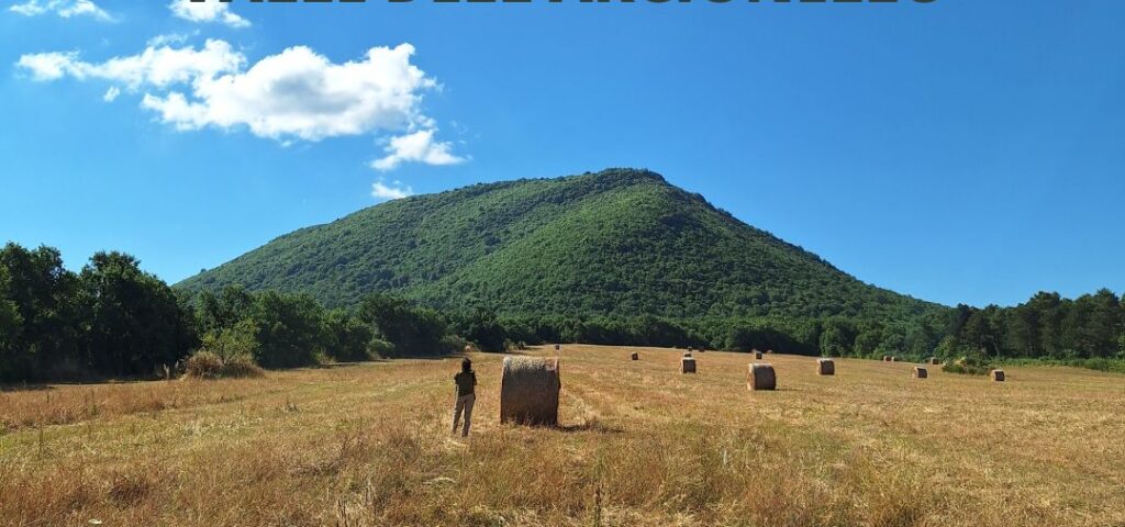 LAZIO ECONOMY - Tavolo Di Comunità "Riserva Naturale Valle Dell'arcionello"